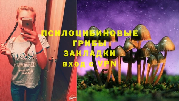 apvp Алзамай