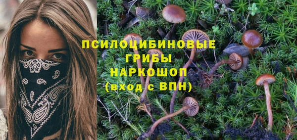 MDMA Арсеньев
